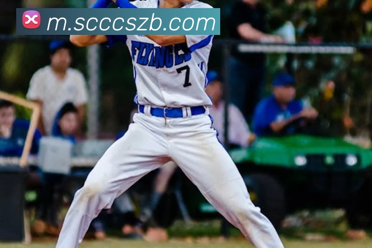 App Interface Preview